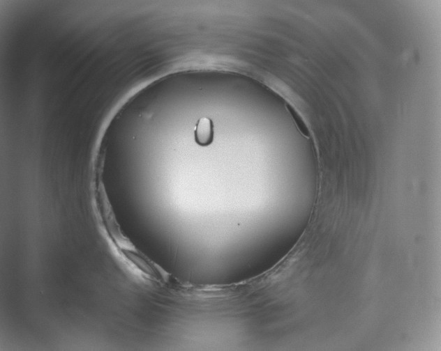 X0000073481152200608140810