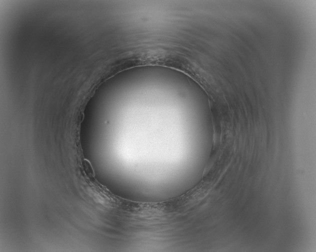 X0000073481153200608140809