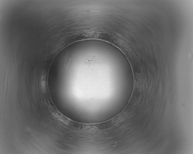 X0000073481154200608140809