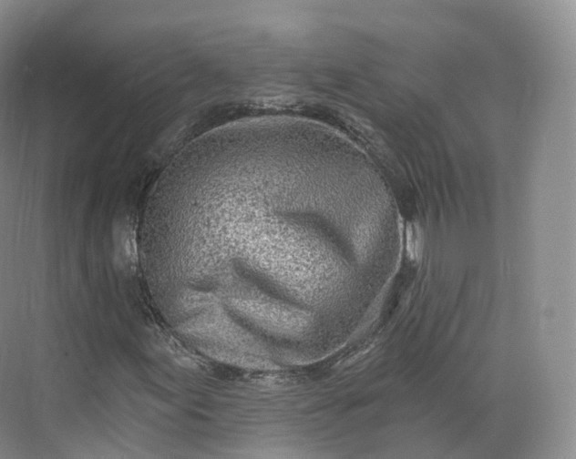 X0000073481155200608140809