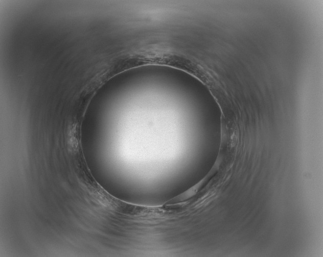 X0000073481156200608140809