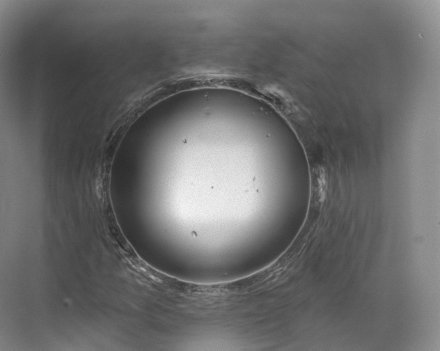 X0000073481157200608140809