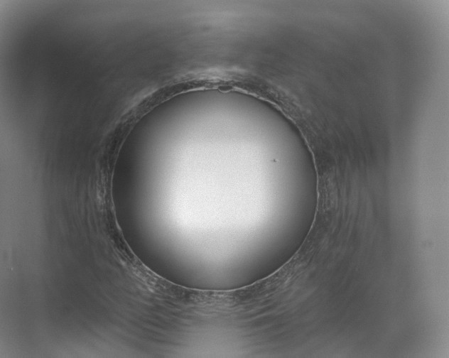 X0000073481158200608140809