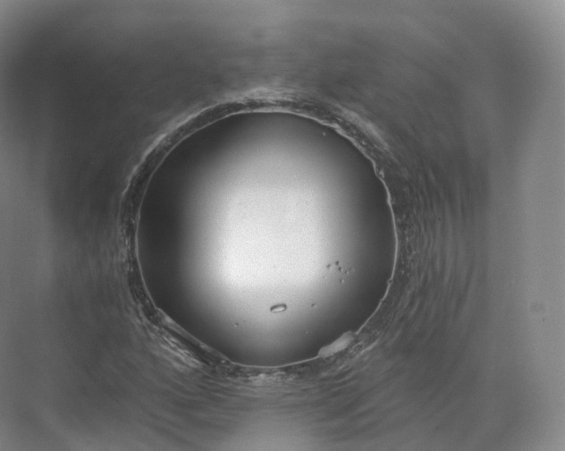 X0000073481160200608140809