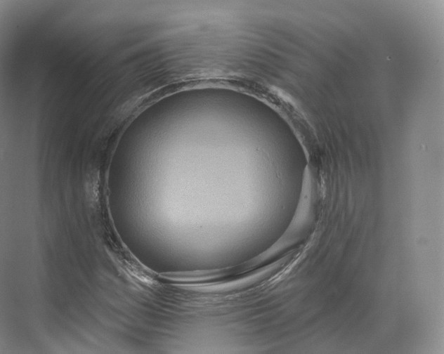 X0000073481161200608140809