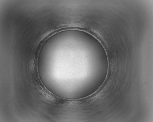 X0000073481163200608140809