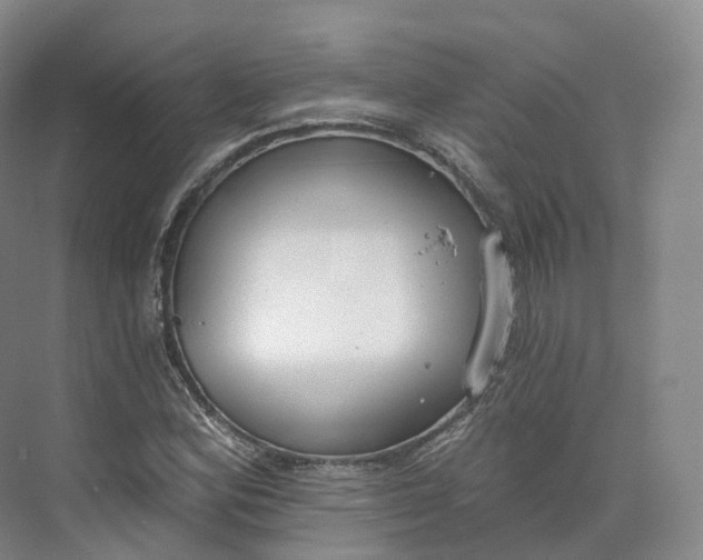 X0000073481164200608140809