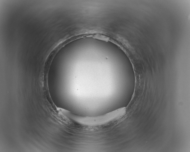 X0000073481165200608140809