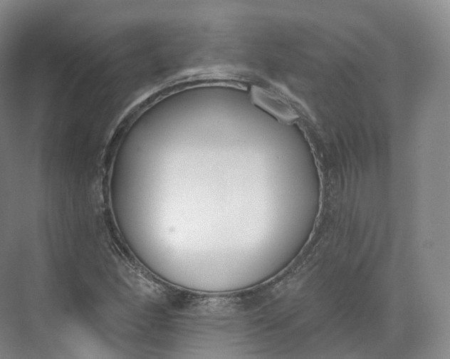 X0000073481166200608140808