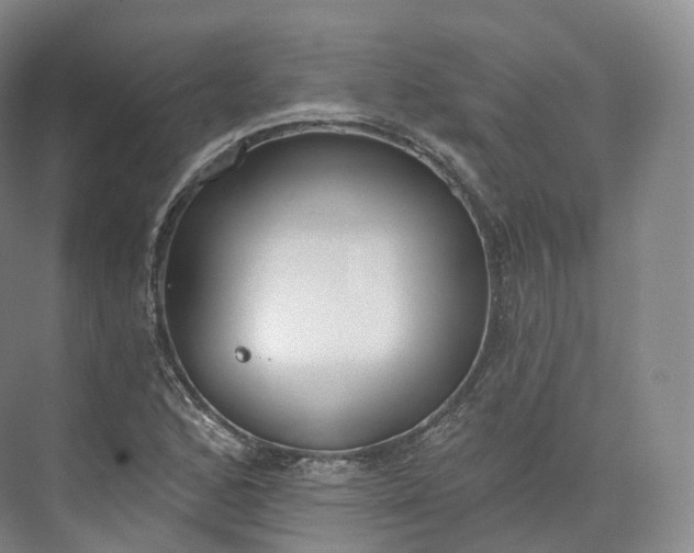 X0000073481168200608140808