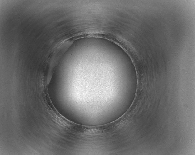 X0000073481169200608140808