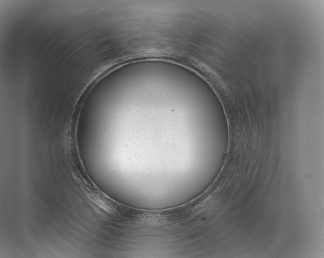 X0000073481170200608140808