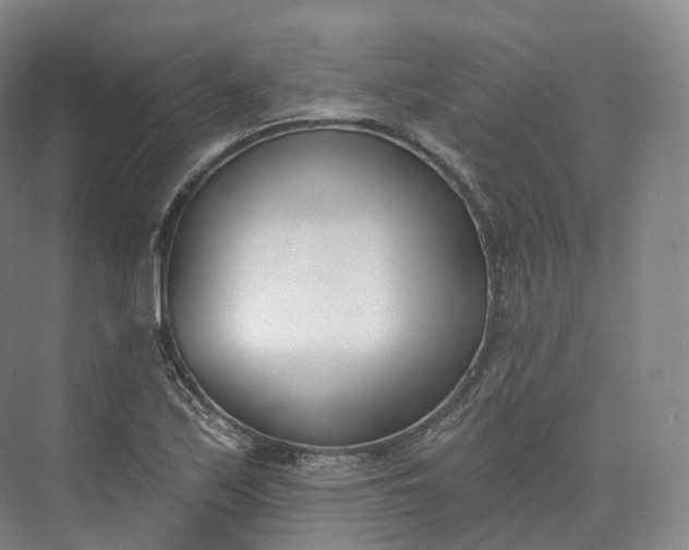 X0000073481171200608140808