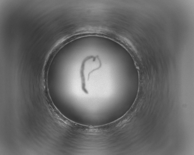 X0000073481172200608140808