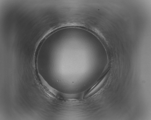 X0000073481173200608140808