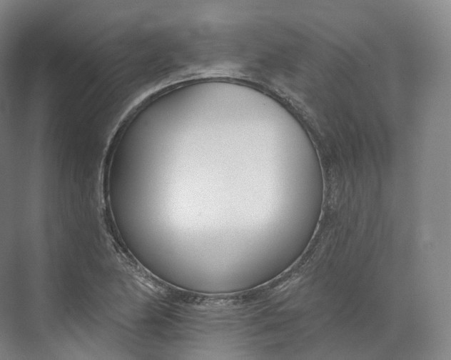 X0000073481174200608140808