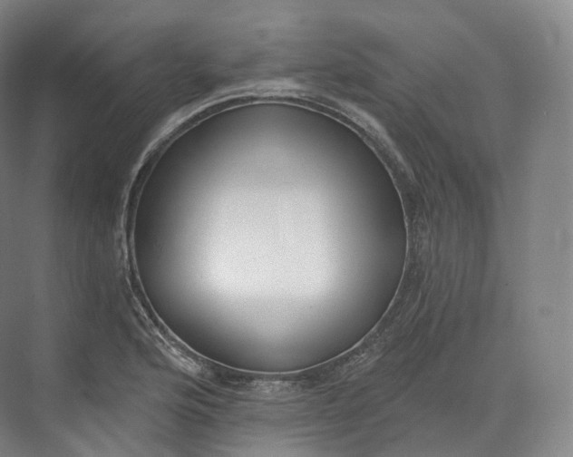 X0000073481176200608140808