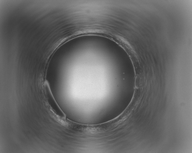 X0000073481177200608140808