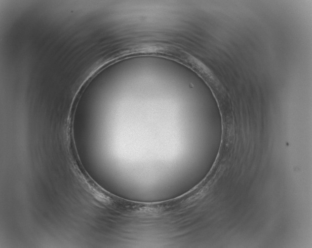 X0000073481178200608140808