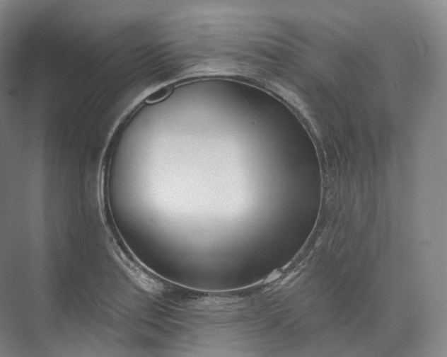 X0000073481179200608140808