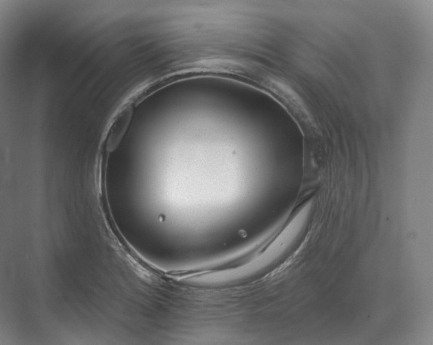 X0000073481180200608140808