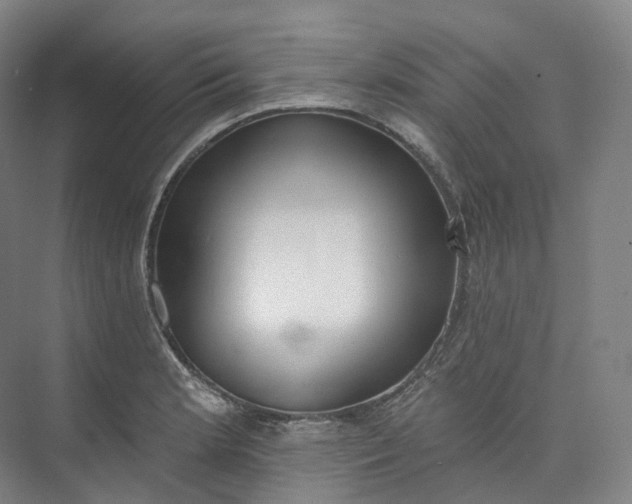 X0000073481181200608140808