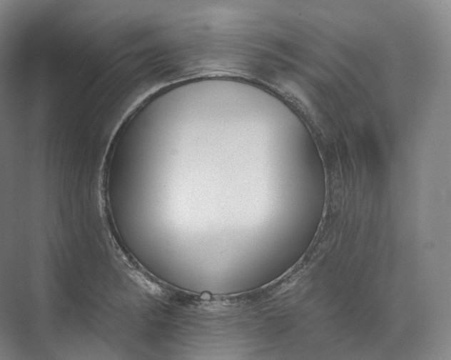 X0000073481182200608140808