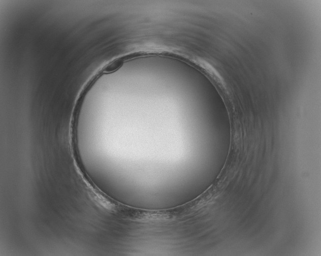 X0000073481183200608140808