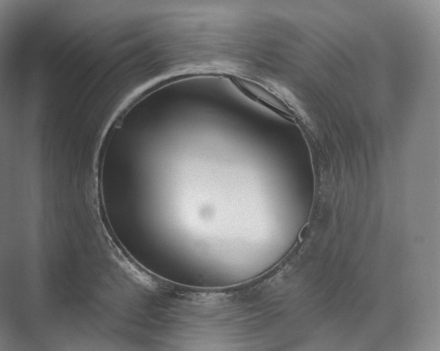 X0000073481184200608140808