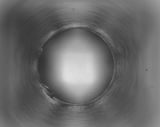 X0000073481185200608140808