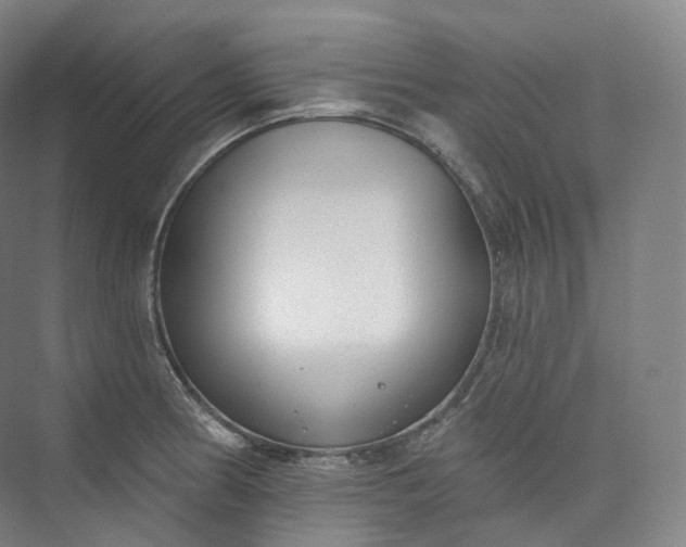 X0000073481186200608140808