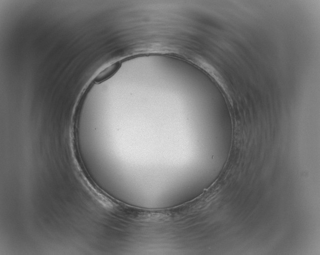 X0000073481187200608140808