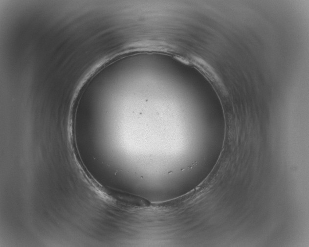 X0000073481188200608140808