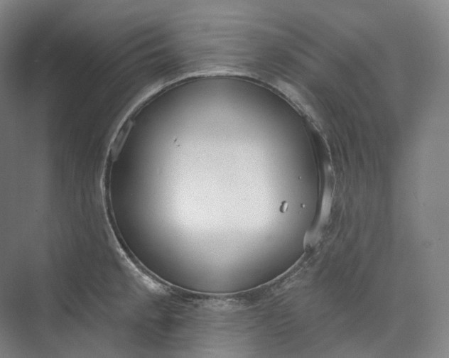 X0000073481189200608140808