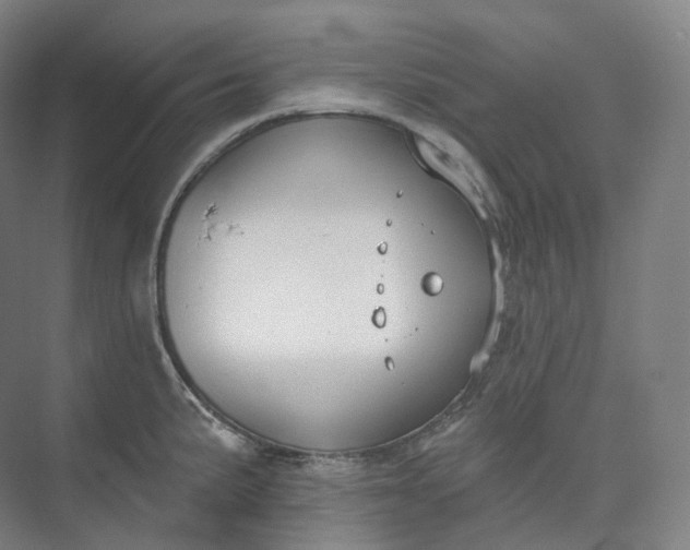 X0000073481191200608140808