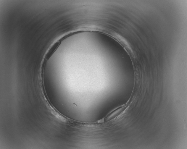 X0000073481192200608140808