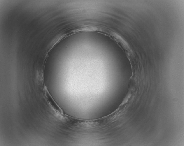 X0000073481193200608140808