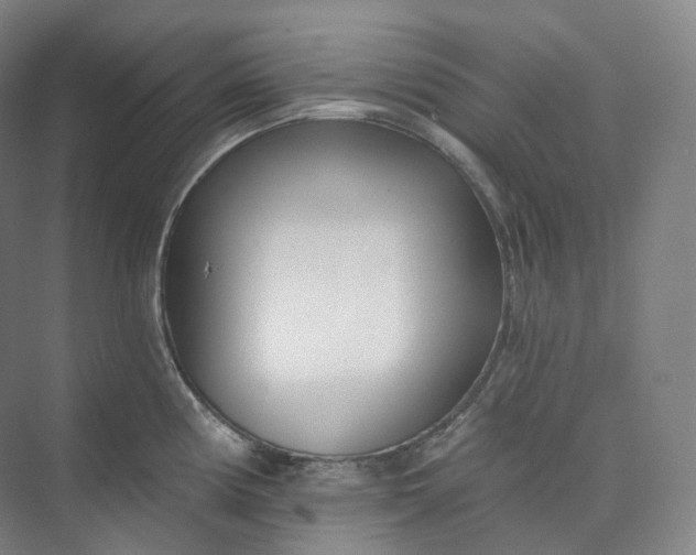 X0000073481194200608140808