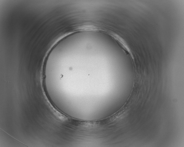 X0000073481195200608140808