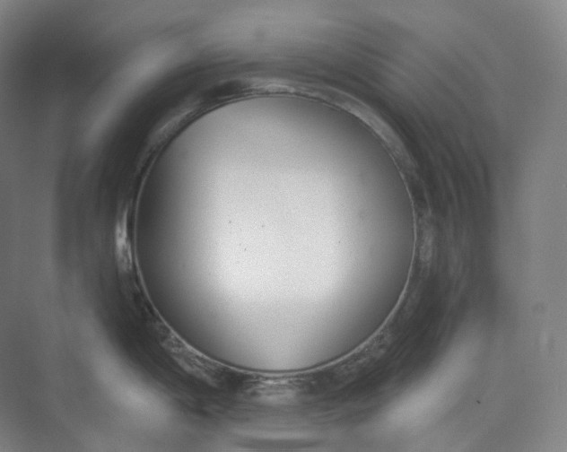 X0000073481198200608140808