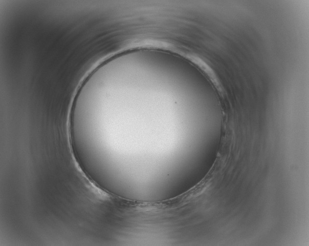 X0000073481199200608140808