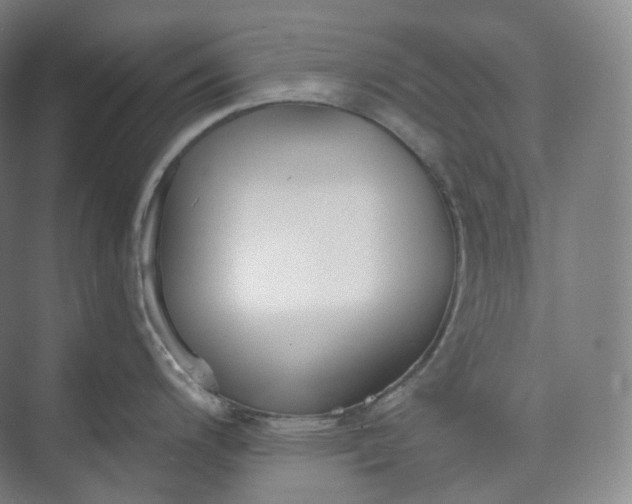 X0000073481200200608140808