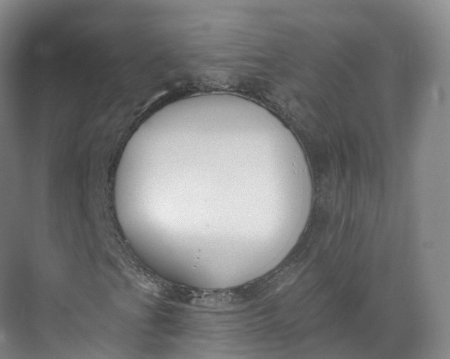 X0000073481201200608140807