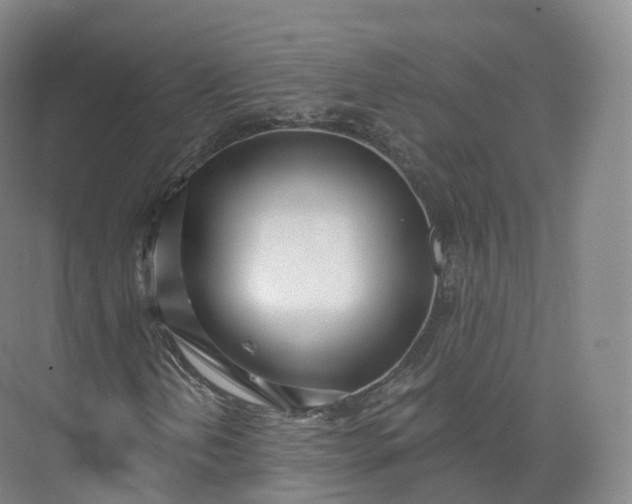 X0000073481202200608140807