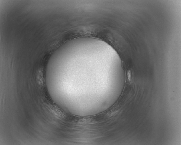 X0000073481203200608140807