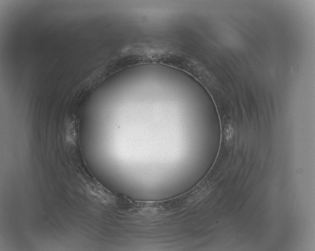 X0000073481204200608140807