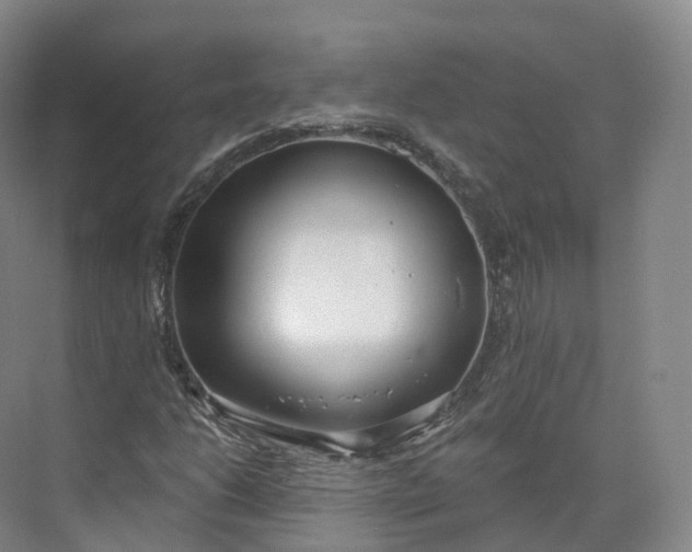 X0000073481206200608140807