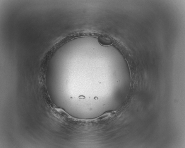 X0000073481207200608140807