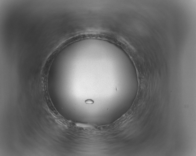 X0000073481208200608140807