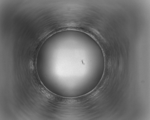 X0000073481209200608140807